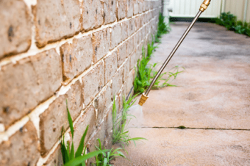 home pest control texas home pest control texas